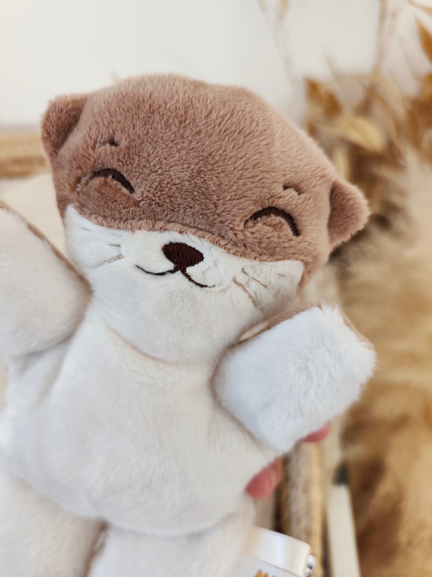 Mini peluche LOUTRE