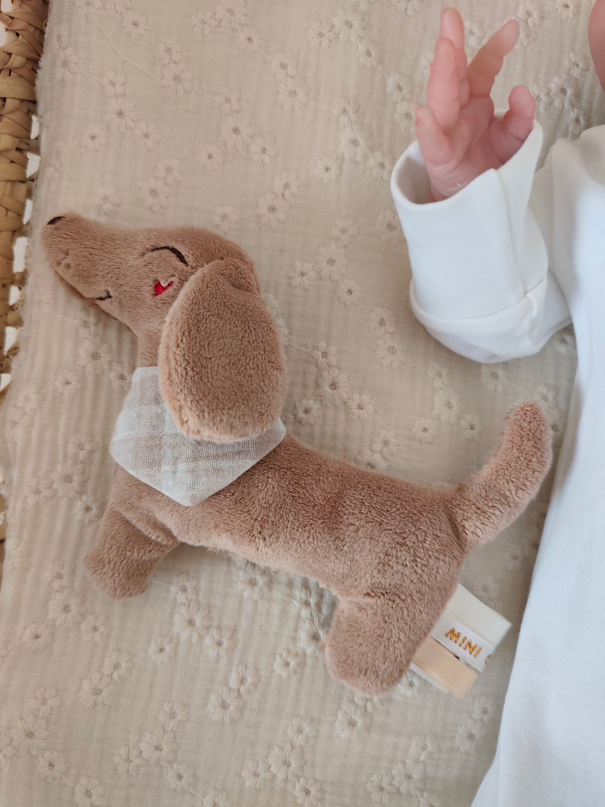 Hochet TECKEL polaire marron éveil bébé