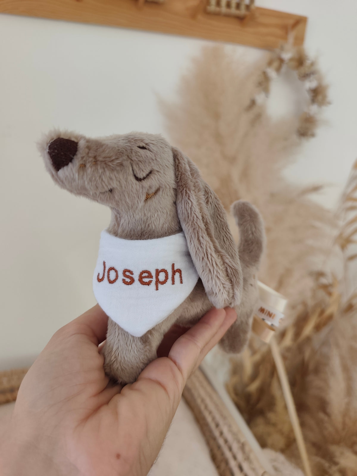 Peluche TECKEL (moyen modèle) polaire